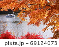 午後の陽光を浴びて輝く湖畔の楓たち 69124073