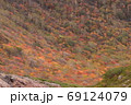 火山地帯の谷を埋め尽くすカラフルな紅葉樹林 69124079
