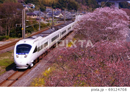 885系白い"ソニック"と"桜" 69124708