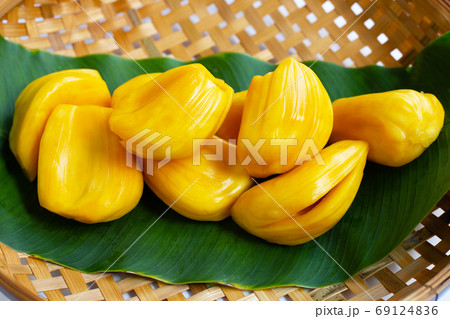 RiRipe Jackfruit on banana leaf in wooden bamboo threshing bask RiRipe Jackfruit on banana leaf in wooden bamboo threshing bask 69124836
