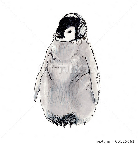 音楽を聴くエンペラーペンギンのヒナのイラストのイラスト素材