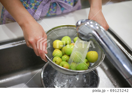 梅を洗う女性 69125242