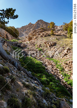 Morning view of the beautiful landscape around the Ruby Crest Tr 69125566