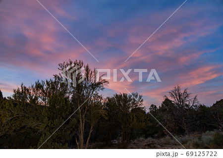 Sunset with beautiful afterglow with some trees Sunset with beautiful afterglow with some trees 69125722