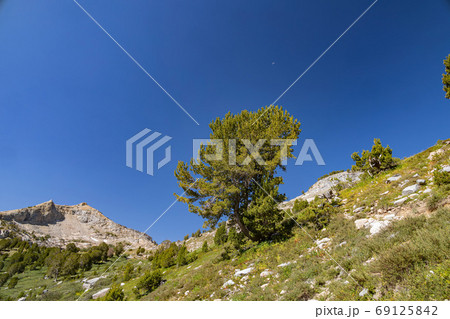 Morning view of the beautiful landscape around the Ruby Crest Tr 69125842