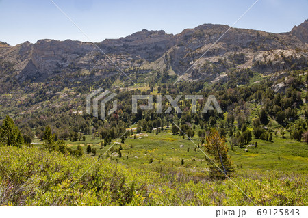 Morning view of the beautiful landscape around the Ruby Crest Tr Morning view of the beautiful landscape around the Ruby Crest Tr 69125843