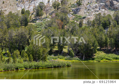 Afternoon view of the beautiful Castle Lake Afternoon view of the beautiful Castle Lake 69125964
