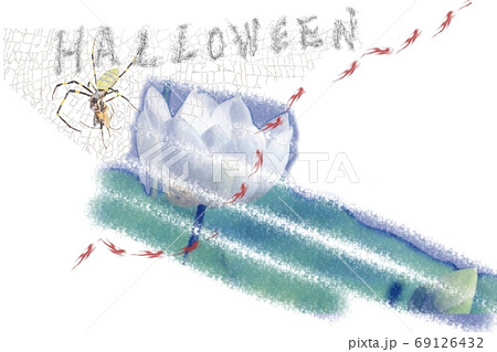 蜘蛛 ハロウィーンの招待 蜘蛛 ハロウィーンの招待 69126432