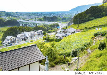 大大善寺　薬師堂そばから見た勝沼の町とぶどう畑善寺 69128172