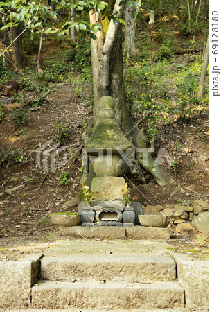 大善寺　理慶尼の墓 69128180