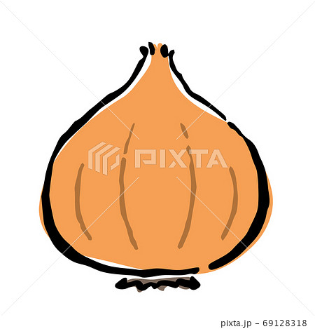 Illustration of Onion 69128318
