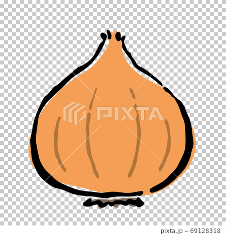 Illustration of Onion 69128318