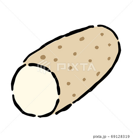 Illustration of Chinese yam 69128319