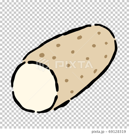 Illustration of Chinese yam 69128319