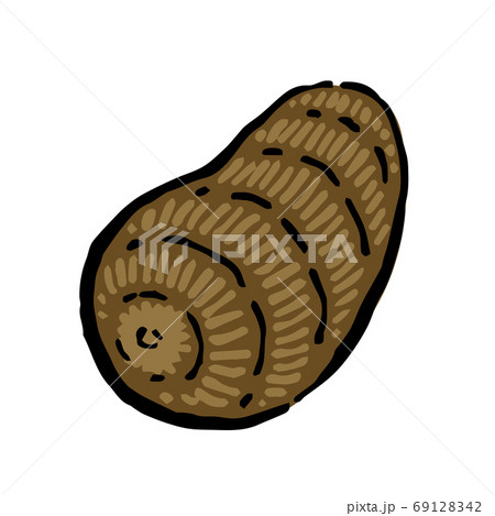 Illustration of Taro Illustration of Taro 69128342