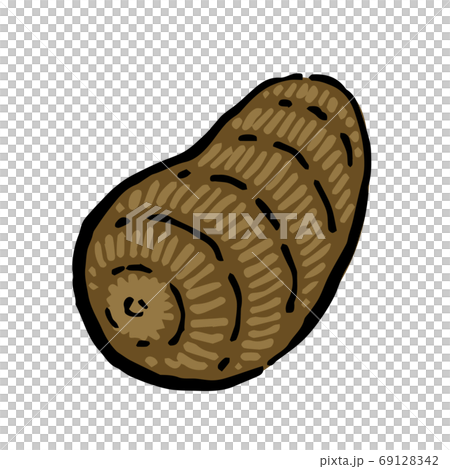 Illustration of Taro Illustration of Taro 69128342