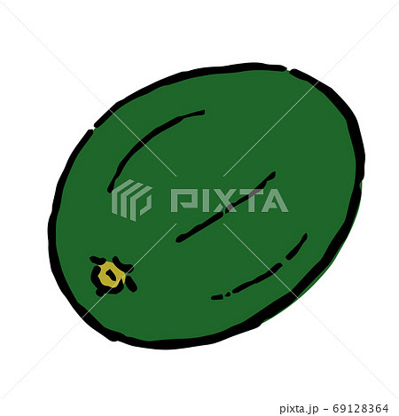 Illustration of Winter melon 69128364