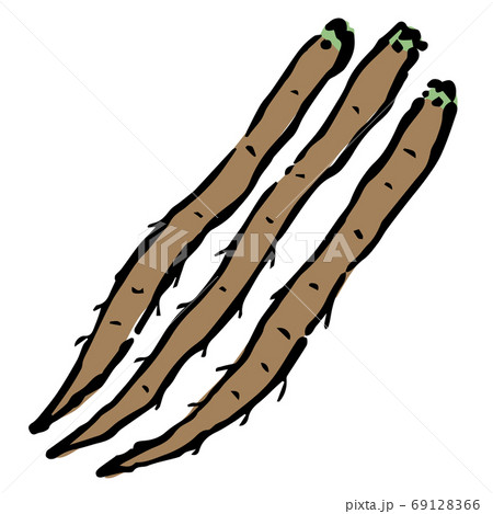 Illustration of Burdock 69128366