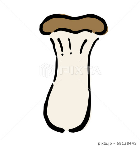 Illustration of Eringi mushroom 69128445