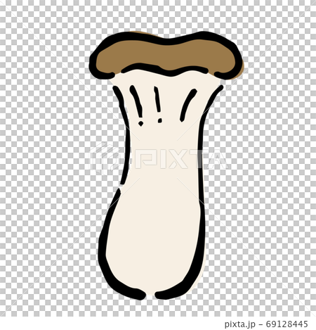 Illustration of Eringi mushroom 69128445