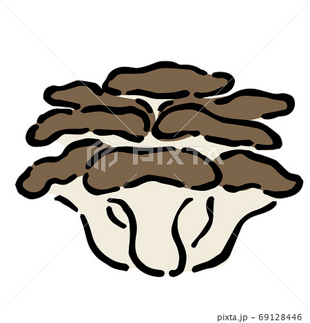 Illustration Of Hiratake Mushroomのイラスト素材