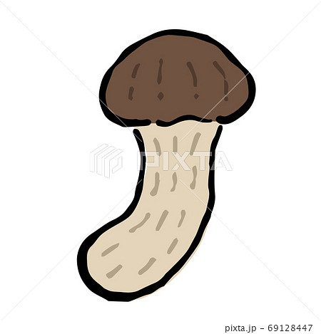 Illustration of Matsutake mushroom 69128447