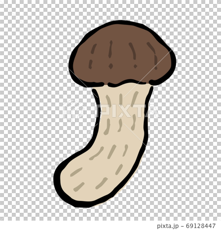 Illustration of Matsutake mushroom 69128447