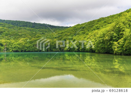 蔦沼の風景　夏　青森県十和田市 69128618