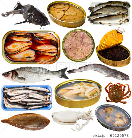Raw and canned seafood and fish isolated on white Raw and canned seafood and fish isolated on white 69129678