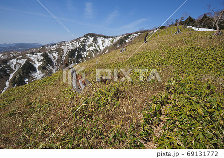 奥日光 社山から黒檜山への中禅寺湖南岸尾根1926m付近から見た残雪の太平山方面へ続く尾根 奥日光 社山から黒檜山への中禅寺湖南岸尾根1926m付近から見た残雪の太平山方面へ続く尾根 69131772