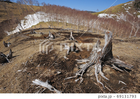 奥日光 社山から黒檜山への中禅寺湖南岸尾根1792m付近の尾根と煙害で枯れた木 奥日光 社山から黒檜山への中禅寺湖南岸尾根1792m付近の尾根と煙害で枯れた木 69131793