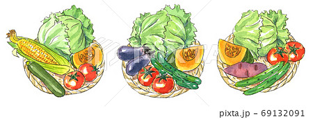 夏野菜 高原野菜の盛り合わせ 水彩イラストのイラスト素材