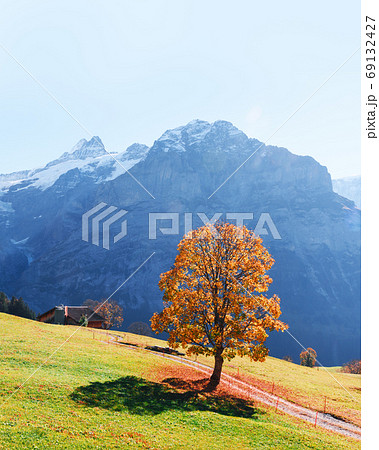 Picturesque autumn landscape in Grindelwald village 69132427