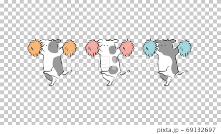 Three cows cheerleading Three cows cheerleading 69132697