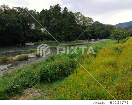 東京の田舎、秋川沿い 東京の田舎、秋川沿い 69132771