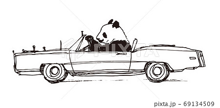 運転するパンダのイラスト素材