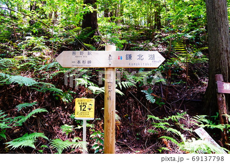 奥武蔵自然歩道 エビガ坂分岐 奥武蔵自然歩道 エビガ坂分岐 69137798