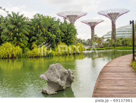Dragonfly Lake - Singapore 69137961