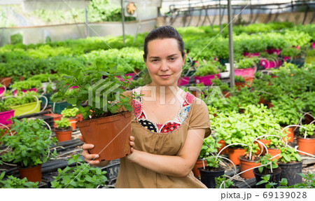Woman checking mint in hothouse Woman checking mint in hothouse 69139028
