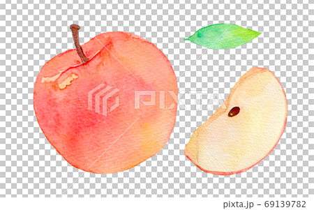 秋の味覚　りんご　林檎　アップル 69139782