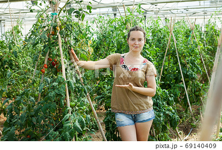 Woman working in glasshousw Woman working in glasshousw 69140409
