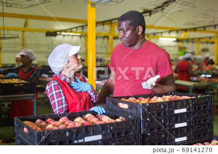 Adult male and female workers quarrelling 69141270