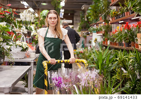 Flower market. Seller delivers potted flowers on a pushcart Flower market. Seller delivers potted flowers on a pushcart 69141433