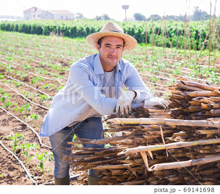 Smiling gardener on background of his vegetable garden Smiling gardener on background of his vegetable garden 69141698