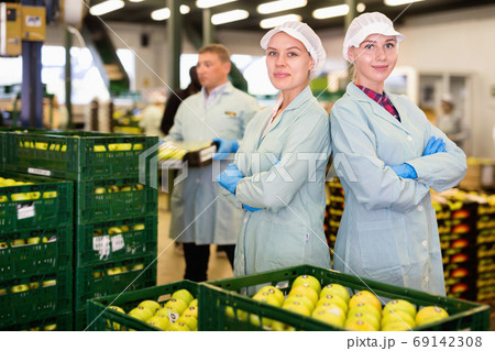 Young woman in uniform during sorting at warehouse at apples factory Young woman in uniform during sorting at warehouse at apples factory 69142308