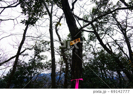 藤野・なぐら地区 日蓮アルプス 八坂山山頂 藤野・なぐら地区 日蓮アルプス 八坂山山頂 69142777