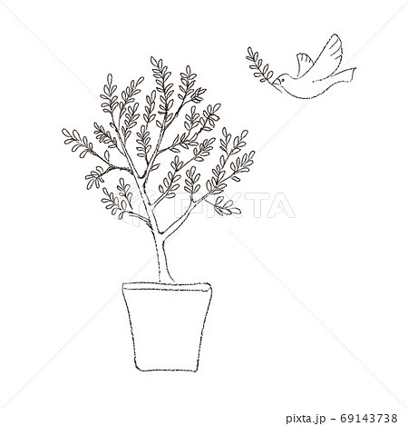 Bird And Olive Tree Line Drawing Stock Illustration