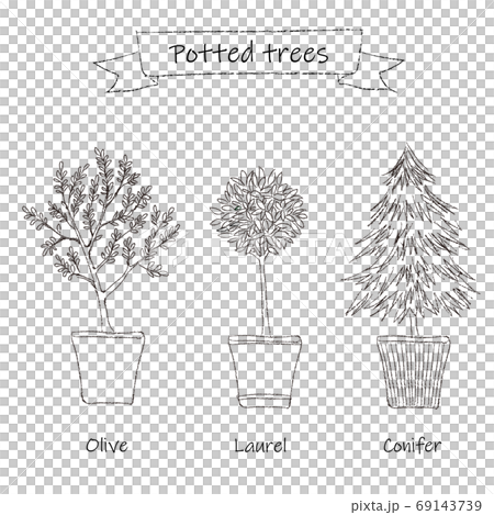 鉢植えの木　線画 69143739