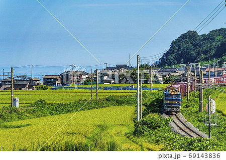 青い海と羽越線の貨物列車 EF510機関車 新潟県村上市 青い海と羽越線の貨物列車 EF510機関車 新潟県村上市 69143836