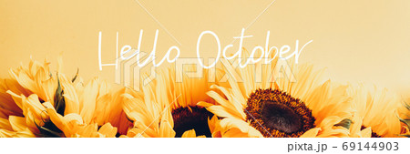 Hello October text with Sunflower Hello October text with Sunflower 69144903